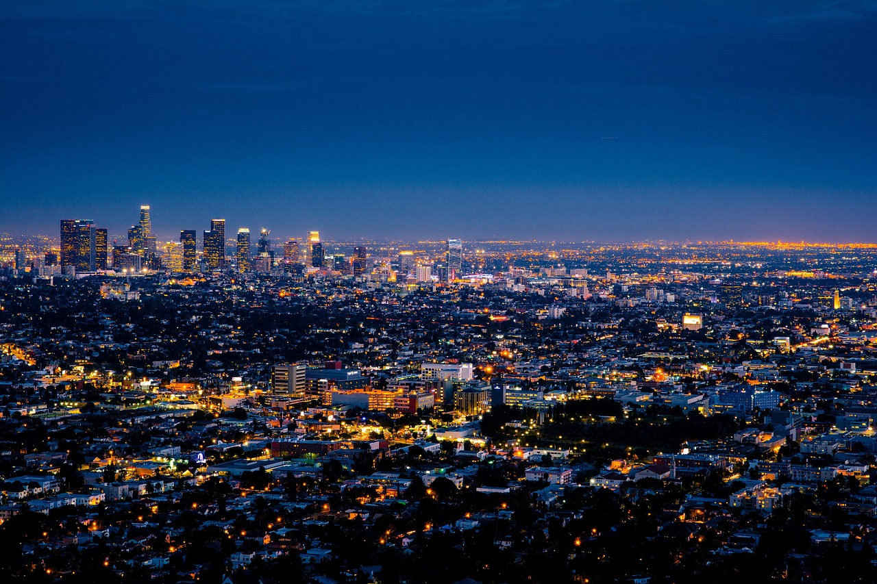 Los Angeles Female Strippers - City Skyline