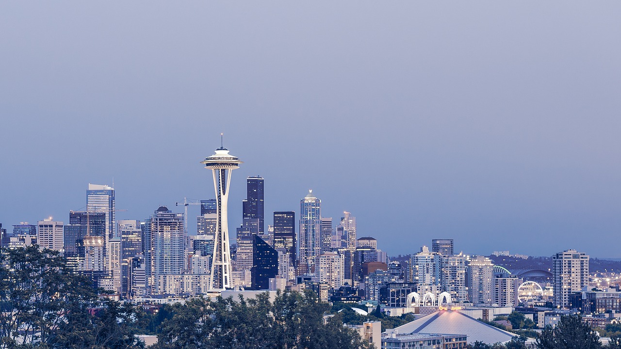 Seattle Female Strippers - City Skyline